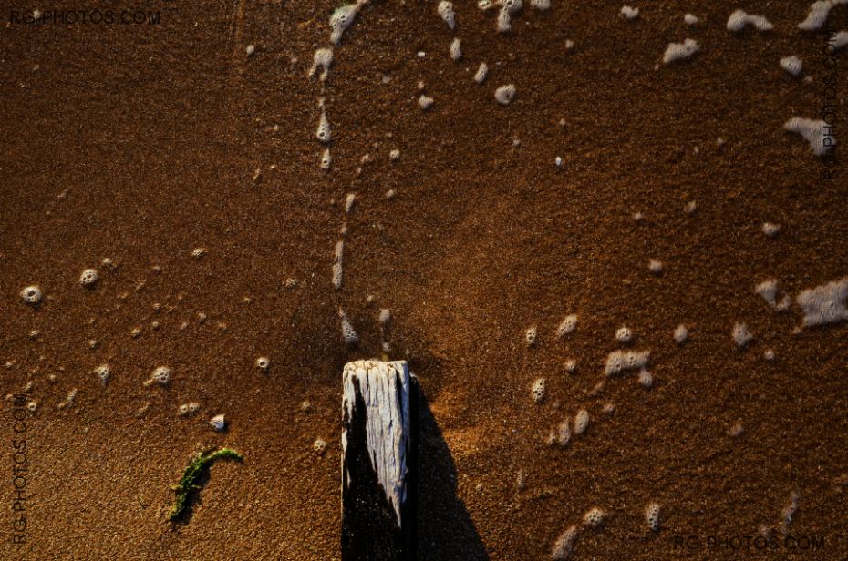Nature morte, planche d'pi sur sable
